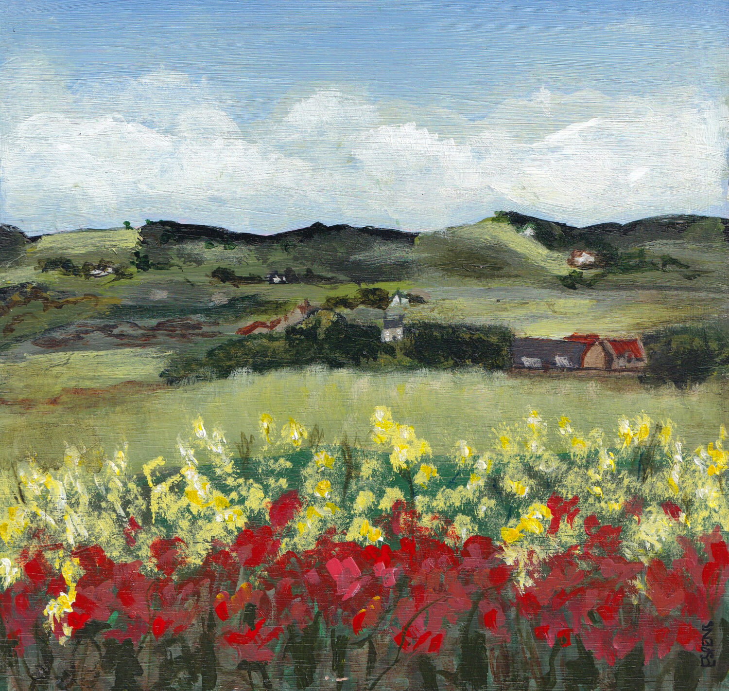 Poppies in Bloom
